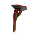 Multi Color Hand Embossed Peacock Bird Wooden Wall Shelf - Image 2