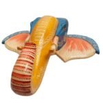 Multi Color Hand Embossed  Wall Hanging Elephant Face - Image 4